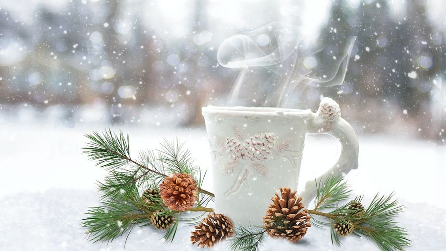 Winter Wonderland - More Unforgettable Ideas for a Winter Themed Tea Party