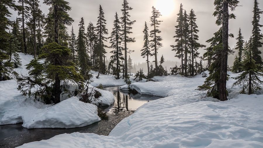 Embrace the enchanting atmosphere of winter with a themed tea party. Curate a selection of teas, set up a cozy tea station, prepare a delectable winter-inspired menu, and create a whimsical winter wonderland ambiance.